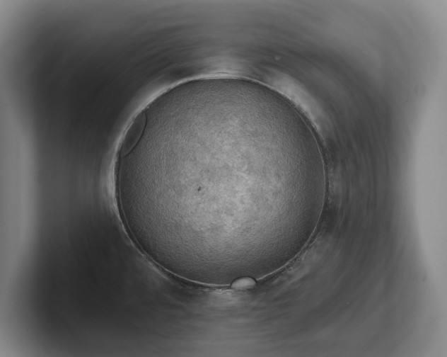 X0000102461480200808151357