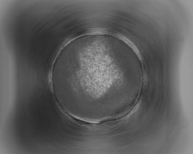 X0000102461481200808151357