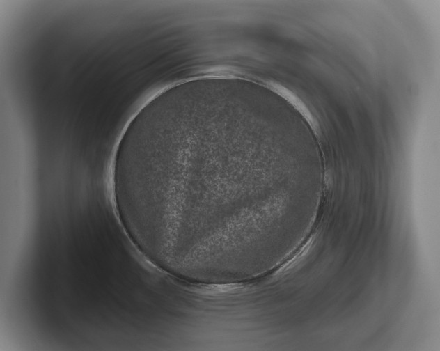 X0000102461482200808151357