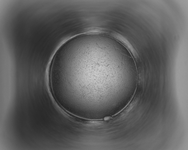 X0000102461483200808151357