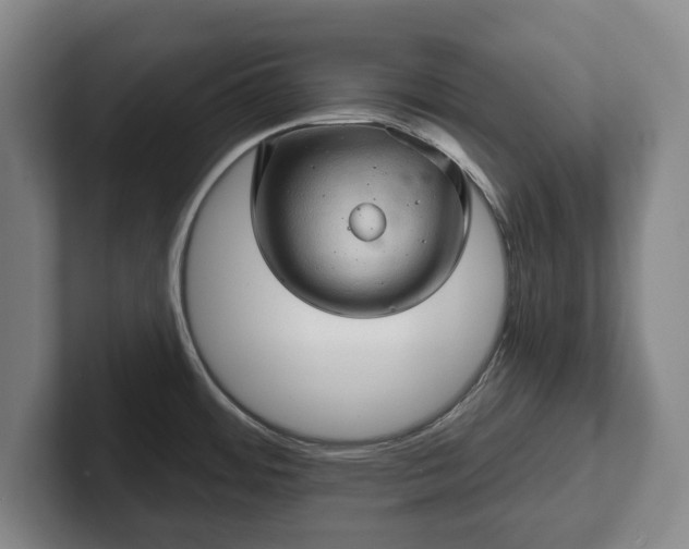 X0000102461484200808151357