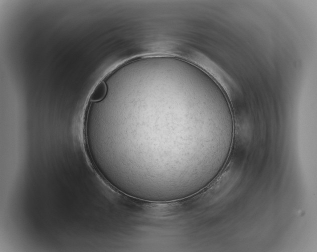 X0000102461485200808151357