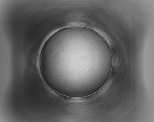 X0000102461486200808151357