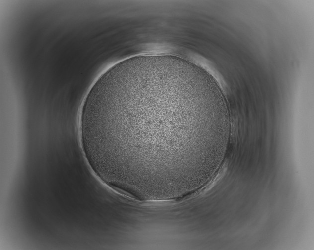 X0000102461487200808151357