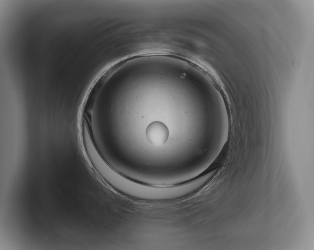 X0000102461488200808151357