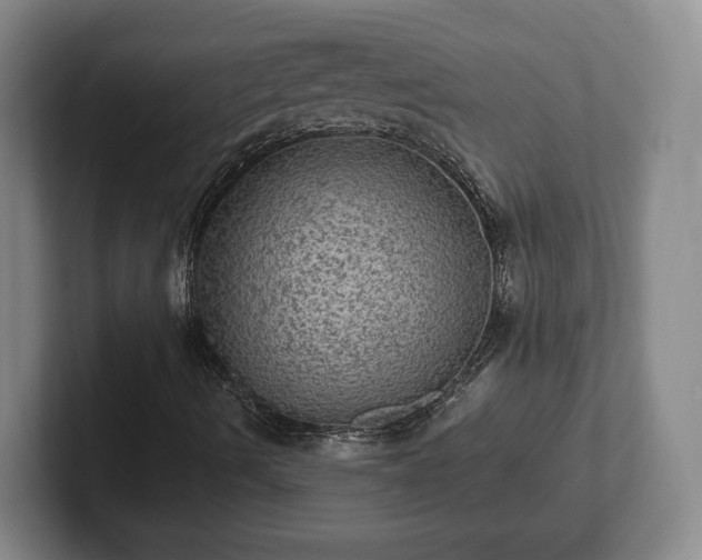 X0000102461490200808151356