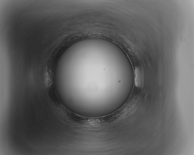 X0000102461491200808151356