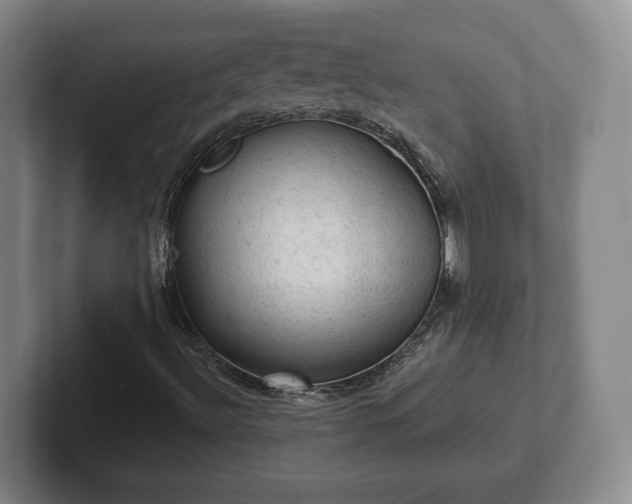 X0000102461492200808151356