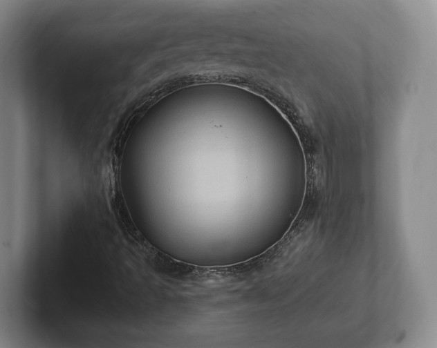 X0000102461493200808151356