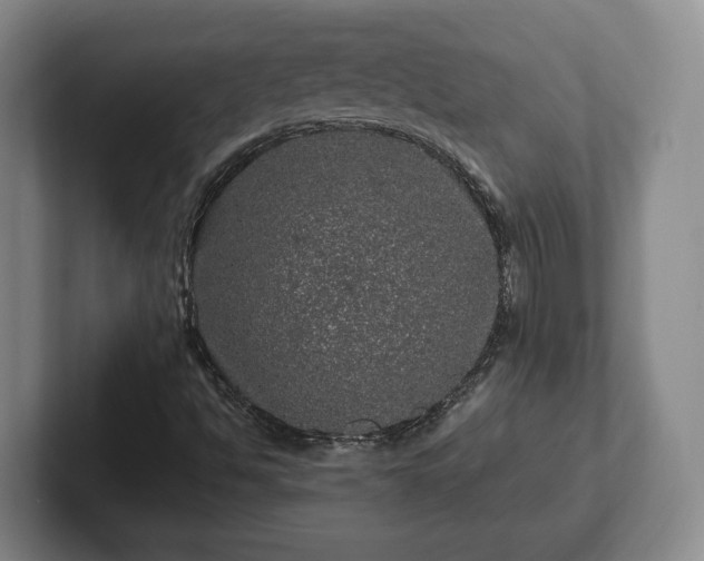 X0000102461494200808151356