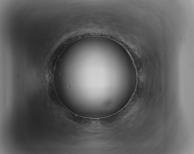 X0000102461495200808151356