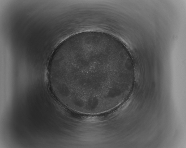 X0000102461497200808151356