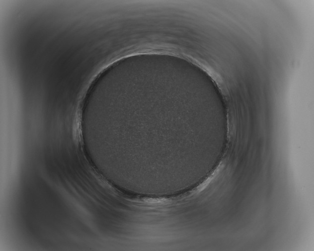 X0000102461498200808151356