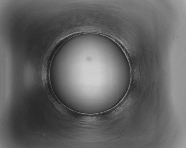 X0000102461499200808151356