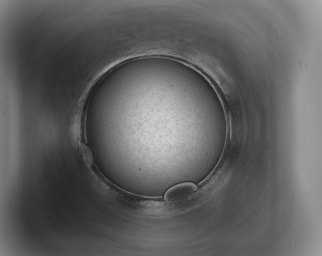 X0000102461500200808151356