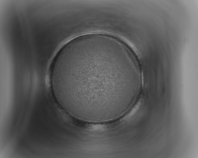 X0000102461501200808151356