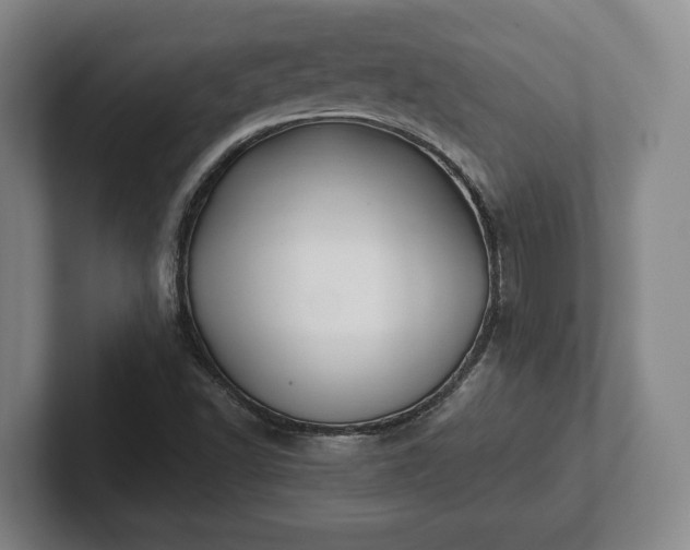 X0000102461502200808151356