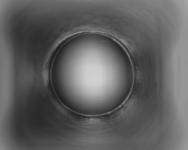 X0000102461503200808151356