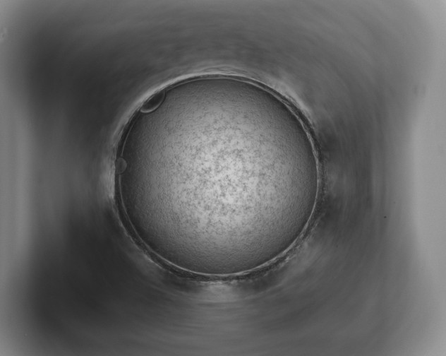 X0000102461504200808151356