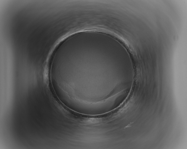 X0000102461506200808151356