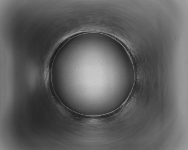 X0000102461507200808151356