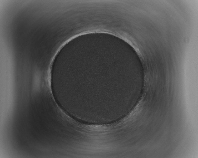 X0000102461508200808151356