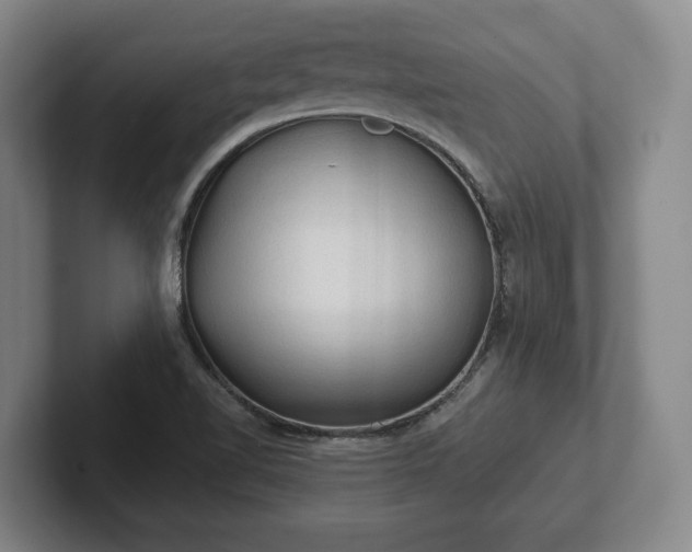 X0000102461510200808151356