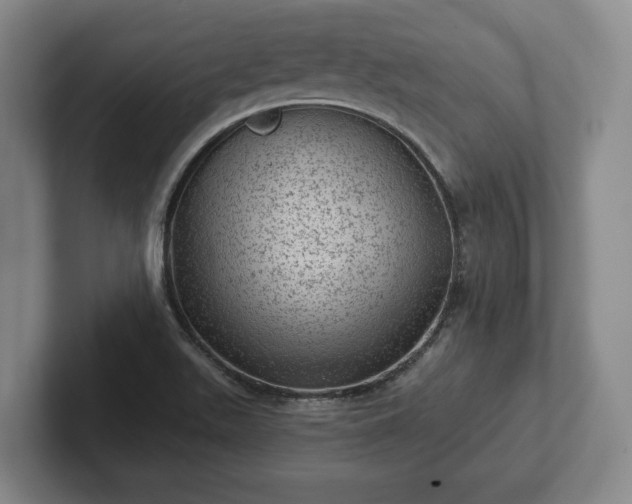 X0000102461511200808151356