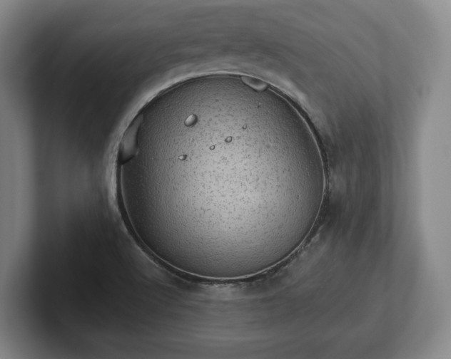 X0000102461512200808151356