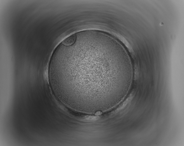 X0000102461513200808151356