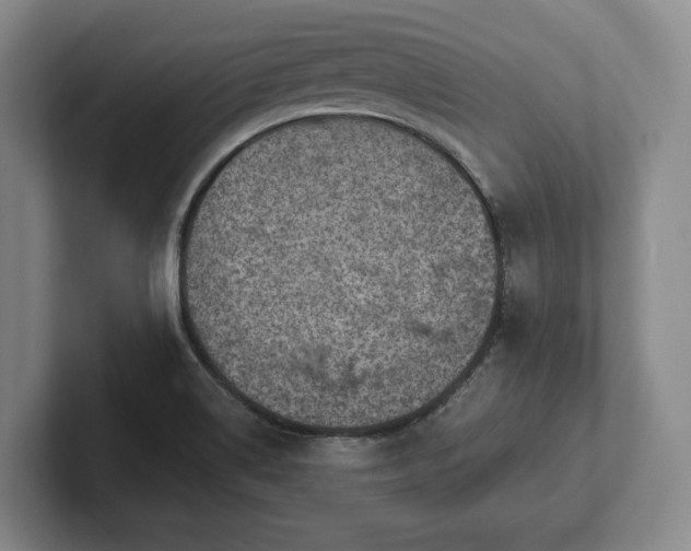 X0000102461514200808151356