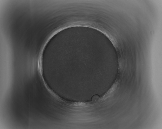 X0000102461515200808151356