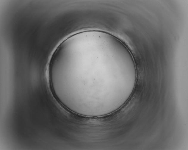 X0000102461516200808151356