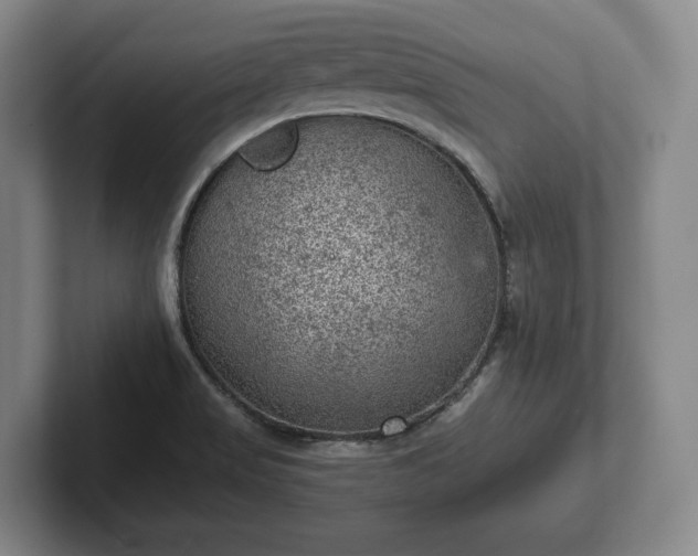 X0000102461517200808151356