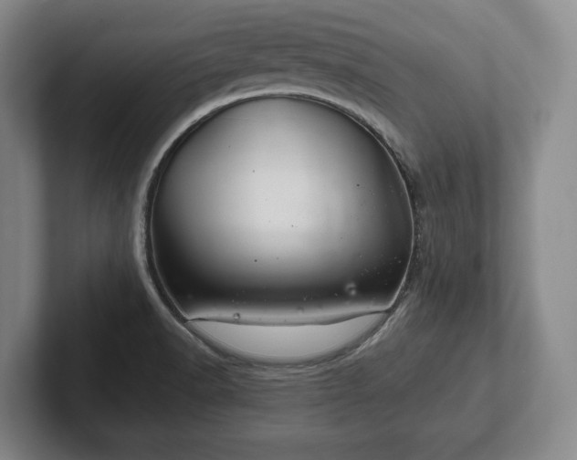 X0000102461518200808151356