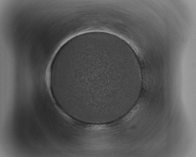 X0000102461519200808151356