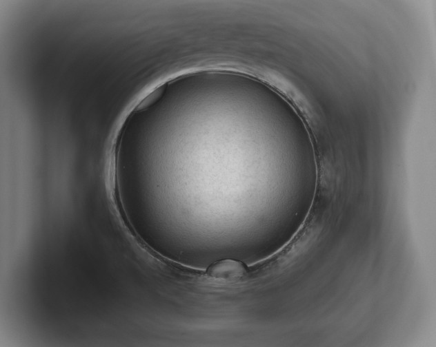 X0000102461520200808151356