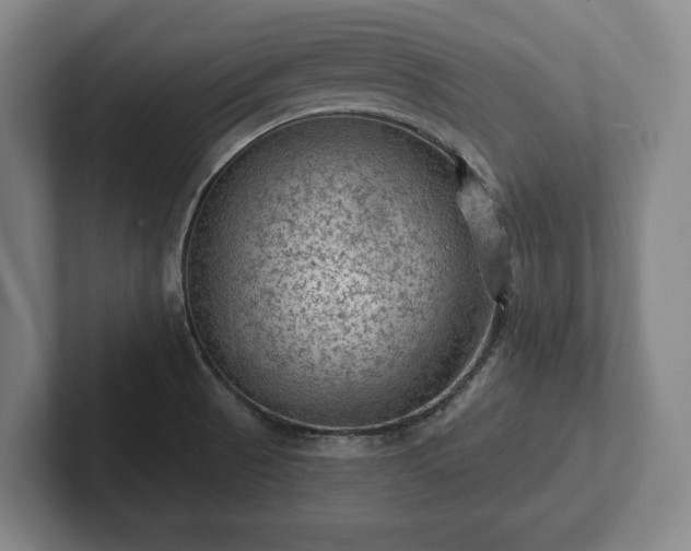 X0000102461521200808151356