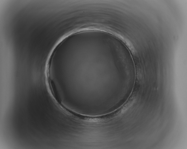 X0000102461522200808151356