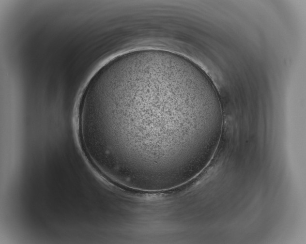 X0000102461523200808151356