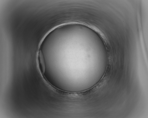 X0000102461524200808151356