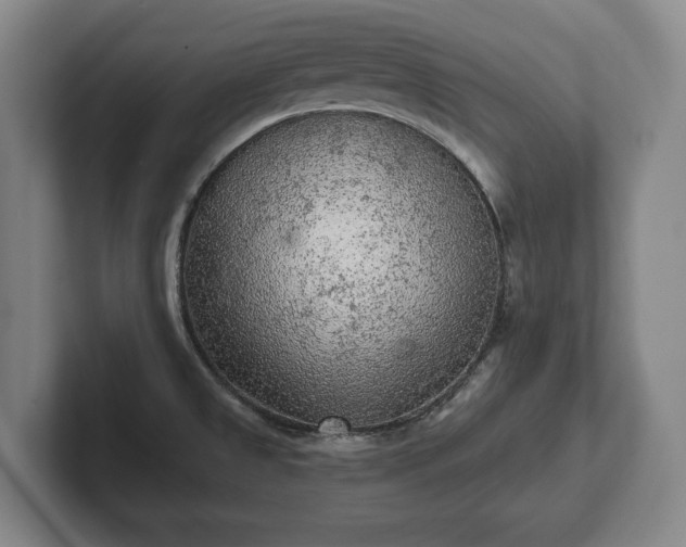 X0000102461525200808151356