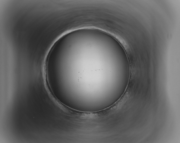 X0000102461526200808151356