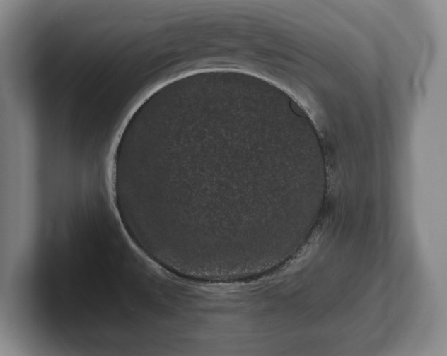 X0000102461527200808151356