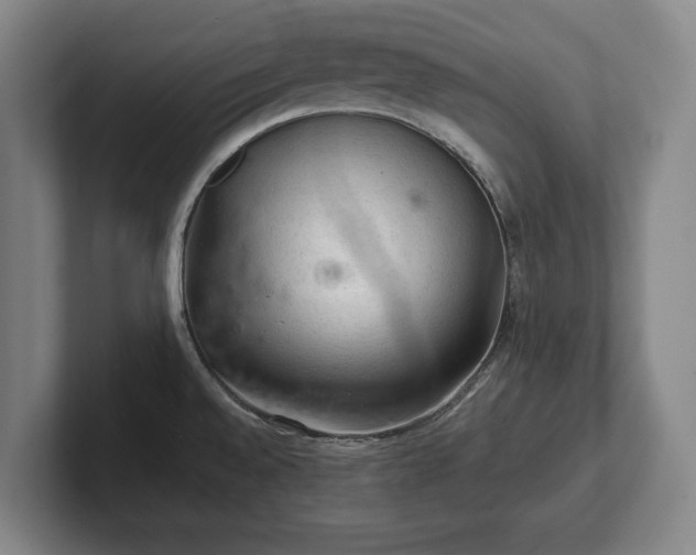 X0000102461528200808151356