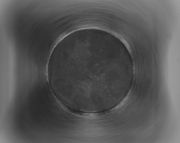 X0000102461529200808151357