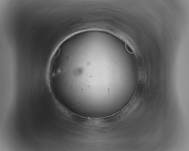 X0000102461532200808151357