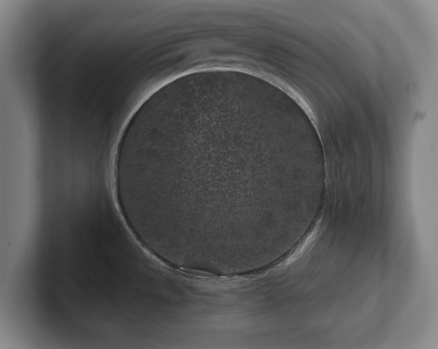 X0000102461533200808151357