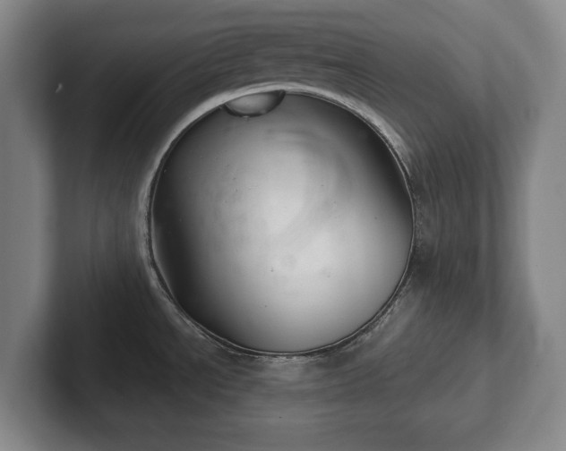 X0000102461534200808151357