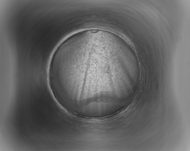 X0000102461536200808151357